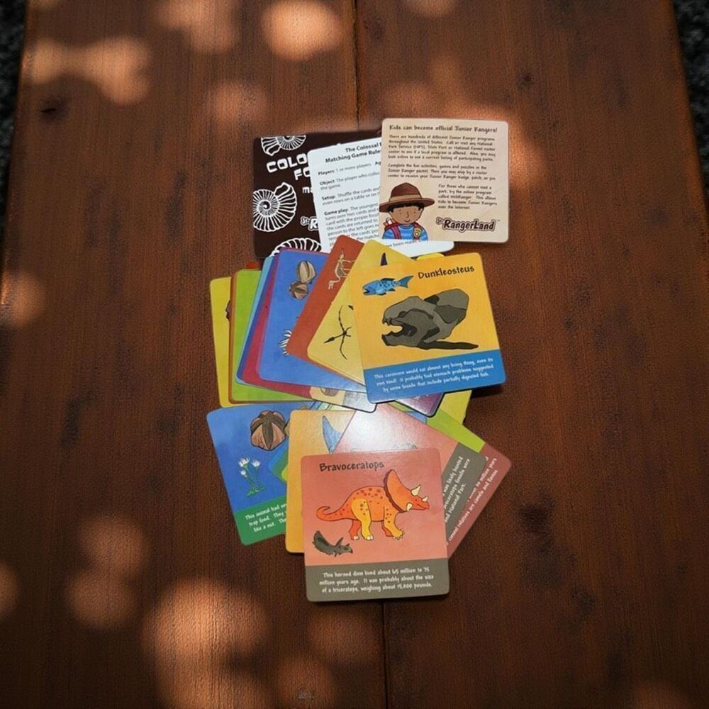 The Colossal Fossil Matching Card Game